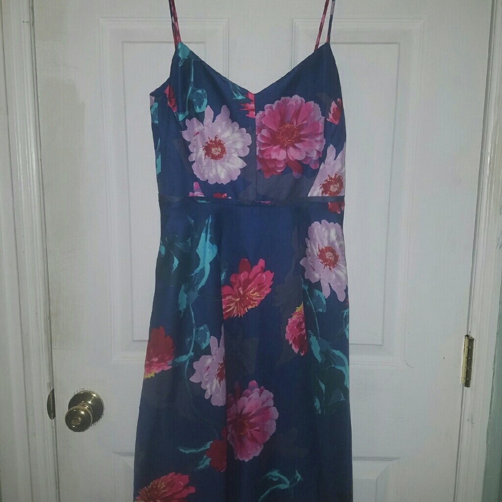 Banana Republic Navy Floral Mini Dress with Pink & Red Blooms